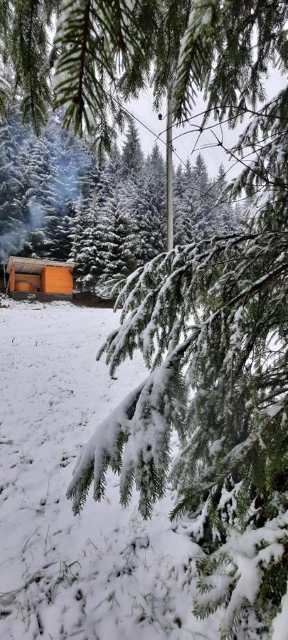Сімейний Номер 1 Садиба У Ані Synevyrsʼka Polyana 외부 사진